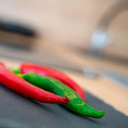 Veroeva Apartament *